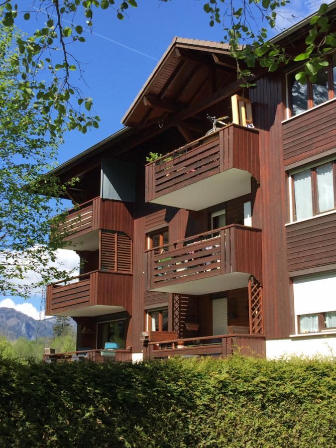Appartement Face Au Mont Blanc & Glaciers Chamonix Luaran gambar