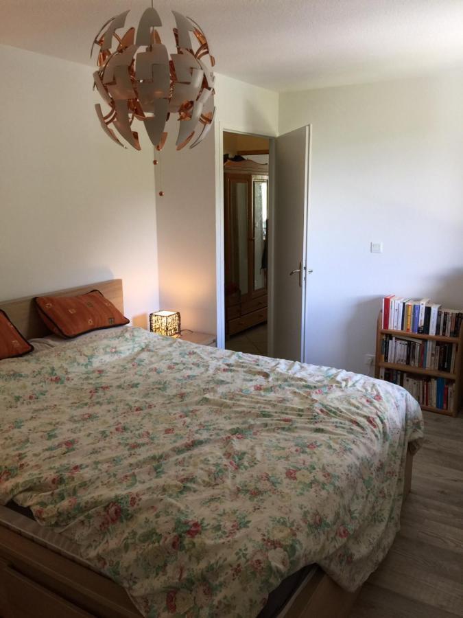 Appartement Face Au Mont Blanc & Glaciers Chamonix Luaran gambar